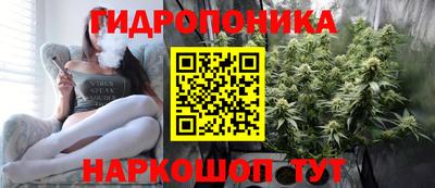 гашик Ирбит