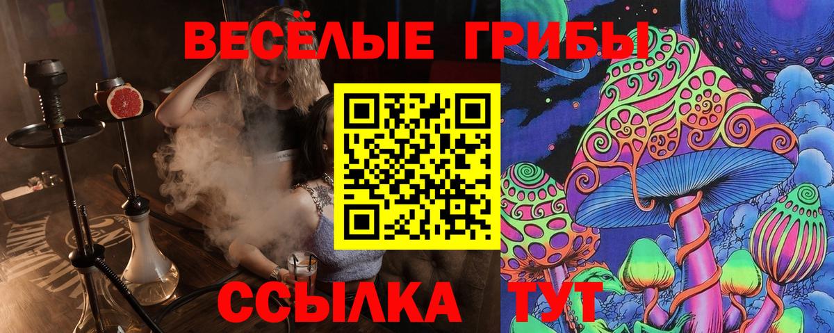 Галлюциногенные грибы Cubensis Кыштым