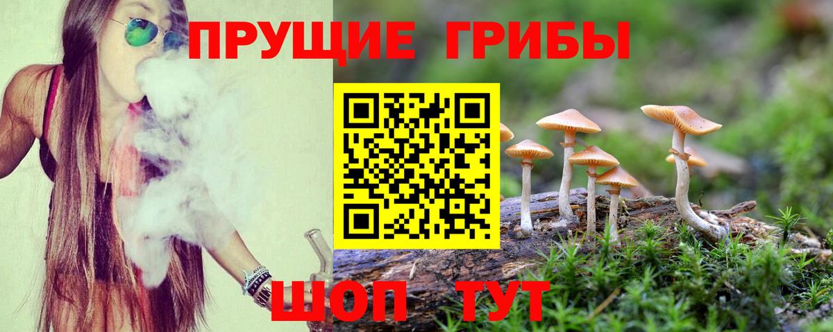 Псилоцибиновые грибы Psilocybine cubensis  Вход с VPN  Кыштым 
